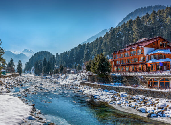 NORTH INDIA TOUR PACKAGES - Image 4