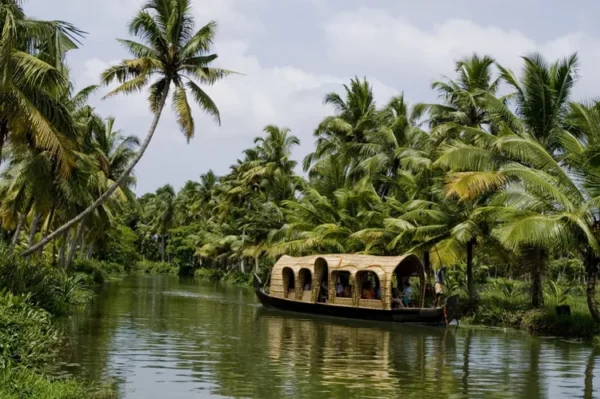 KERALA TOUR PACKAGES - Image 3