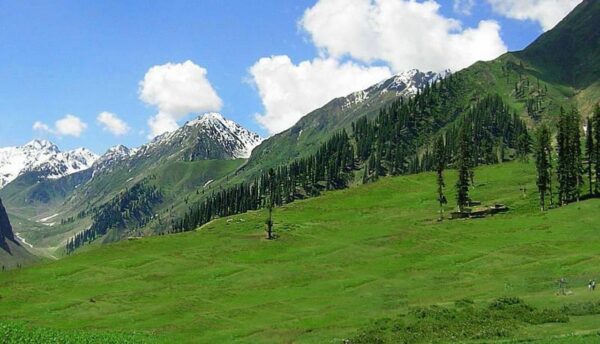 Srinagar /Kashmir Tour Packages / 5 Days kashmir Trip - Image 3