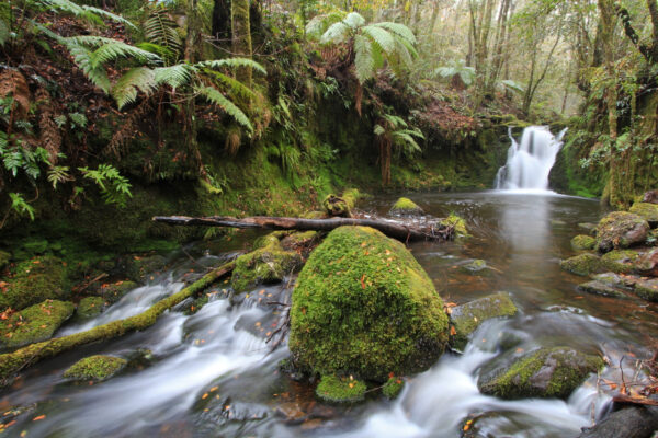 KODAIKANAL HILLS TOUR PACKAGES - Image 2