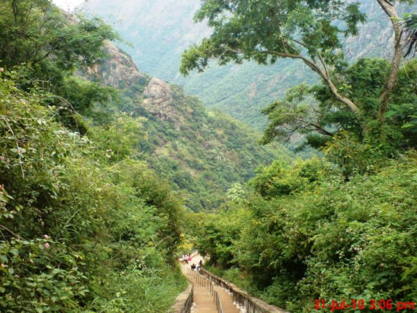 KOLLI HILLS TOUR PACKAGES - Image 3