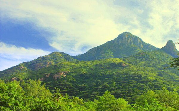 SOUTH INDIA TOUR PACKAGES - Image 3