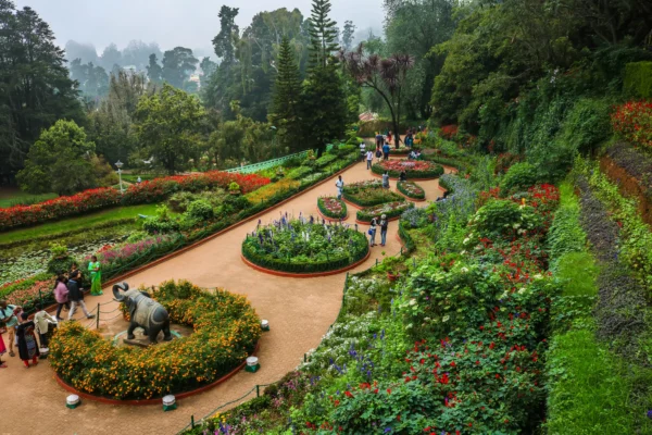 3 Days Ooty - Muthumalai Tour Packages - Image 4