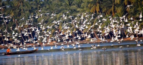 Kerala Temple Tour/11 days Kerala Sightseen Places - Image 3